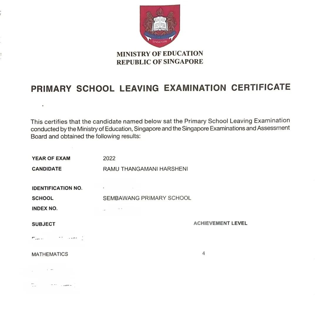 Picture of MasterMaths P6 Student PSLE Result