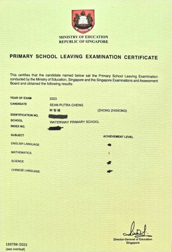 Sean Results (1)